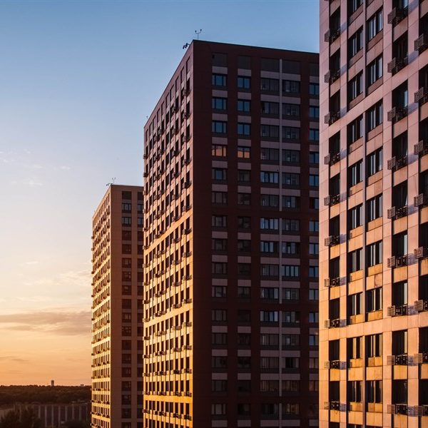 Изображение WhatsApp 2024-01-25 в 00.49.23_2a3e7551