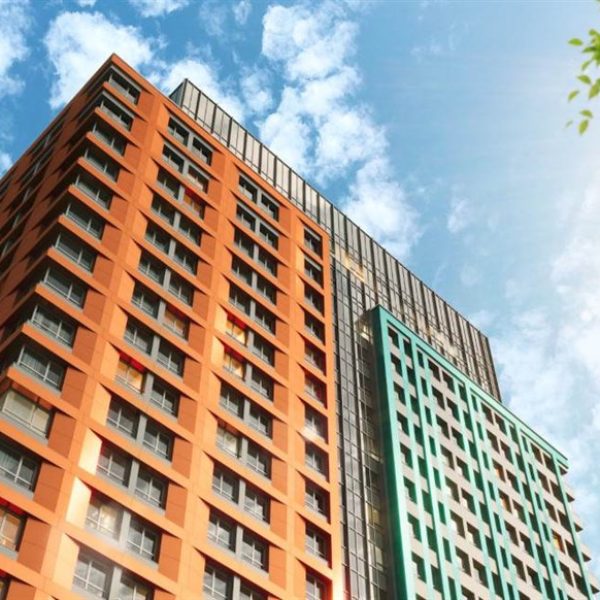 Изображение WhatsApp 2024-01-25 в 23.17.11_e13145b7