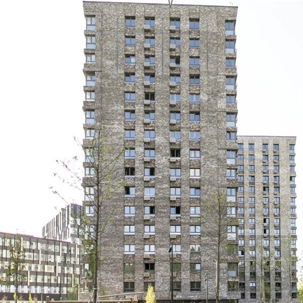 Изображение WhatsApp 2024-02-03 в 23.27.25_f7c953d3