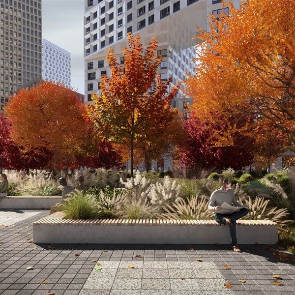 Изображение WhatsApp 2024-02-03 в 23.42.40_d324c8c8