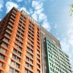 Изображение WhatsApp 2024-01-25 в 23.17.11_e13145b7