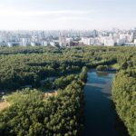 Изображение WhatsApp 2024-02-03 в 23.27.25_fb0c37f2